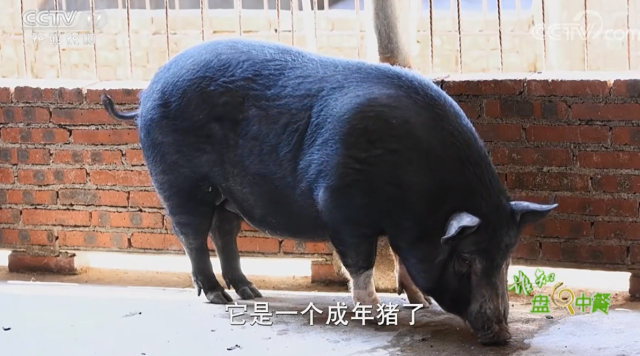 微信圖片_20230206115357 微信圖片_20230206115357